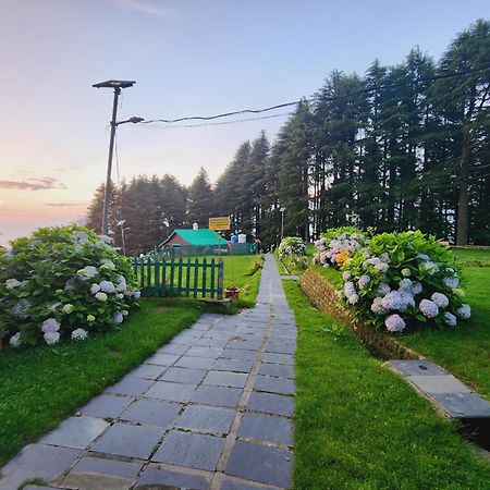 Forest Vibes Kalatop-Rooms And Restaurant Dalhousie Buitenkant foto