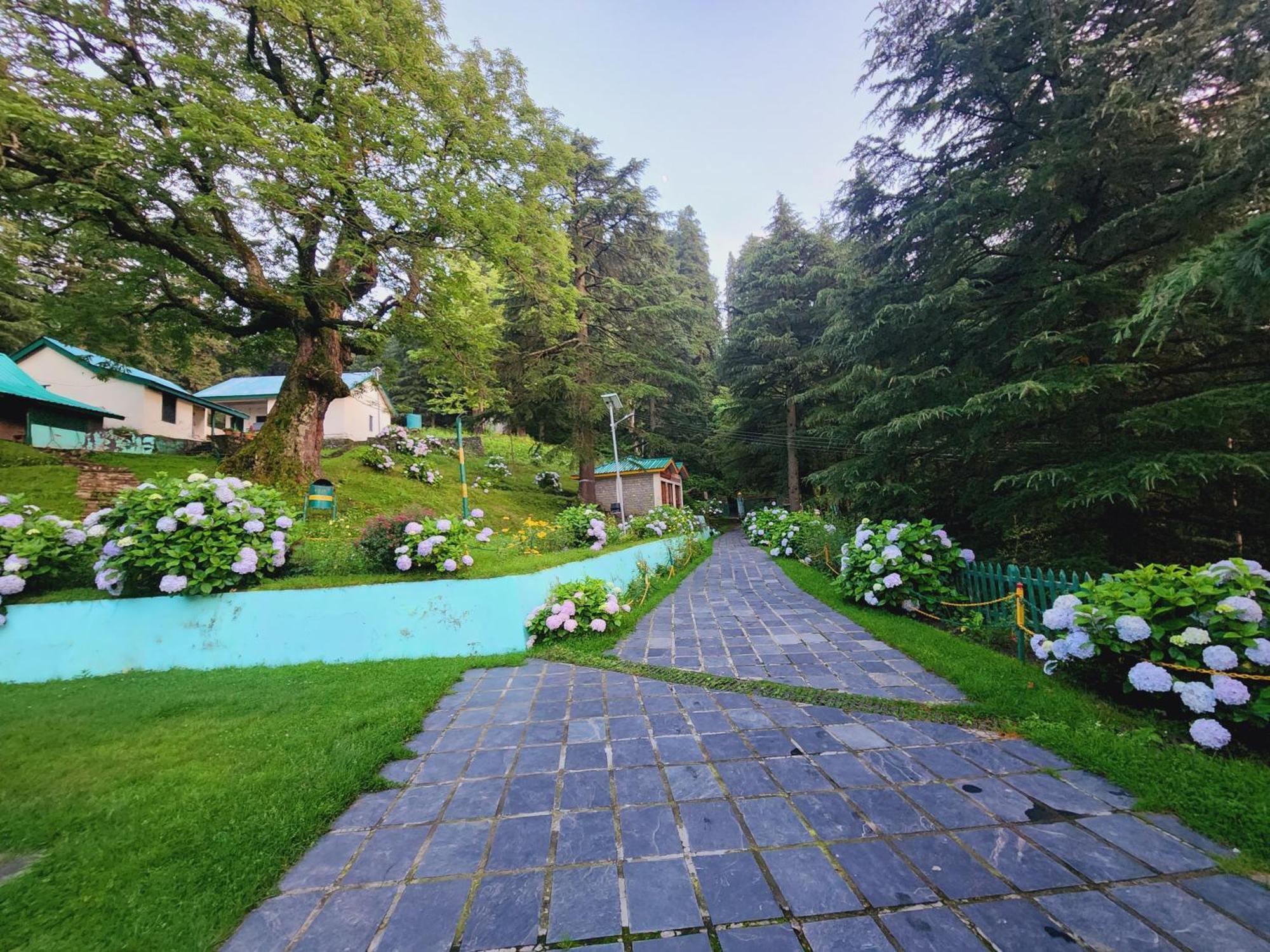 Forest Vibes Kalatop-Rooms And Restaurant Dalhousie Buitenkant foto