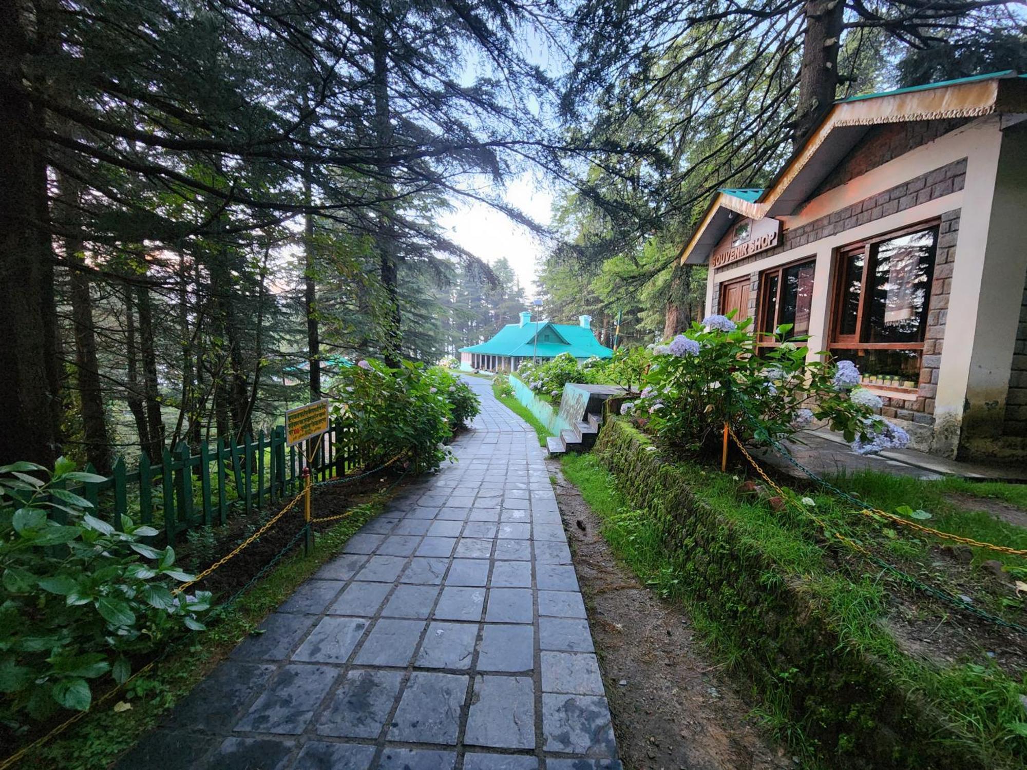 Forest Vibes Kalatop-Rooms And Restaurant Dalhousie Buitenkant foto