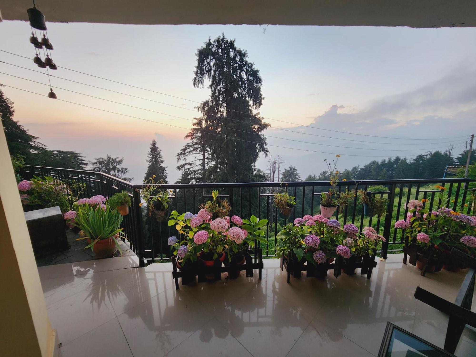 Forest Vibes Kalatop-Rooms And Restaurant Dalhousie Buitenkant foto